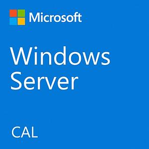 WINSVR CAL 2022 10User PY-WCU10CA